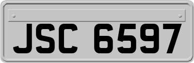JSC6597