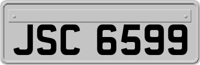 JSC6599