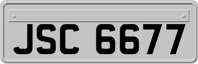 JSC6677