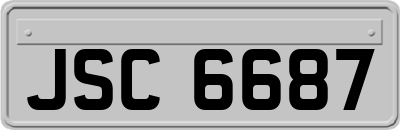 JSC6687