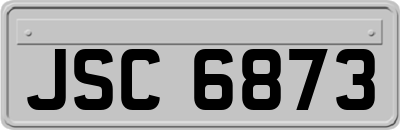 JSC6873