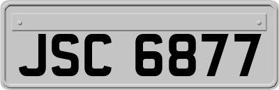 JSC6877
