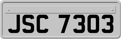 JSC7303