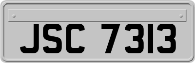 JSC7313