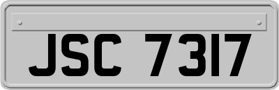 JSC7317