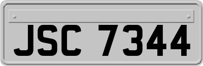 JSC7344