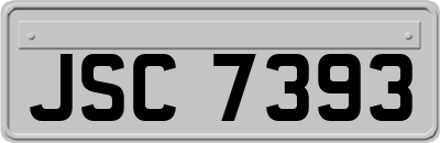 JSC7393