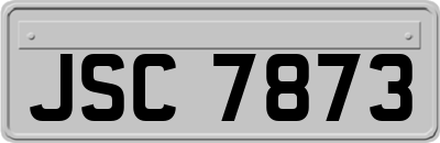 JSC7873