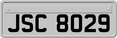 JSC8029