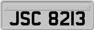 JSC8213