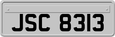 JSC8313