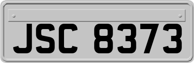 JSC8373