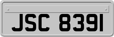 JSC8391