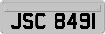 JSC8491