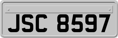 JSC8597