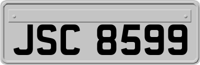 JSC8599
