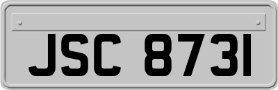 JSC8731