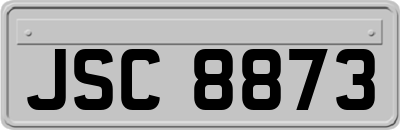 JSC8873