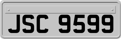 JSC9599