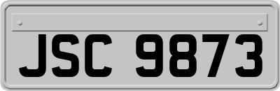 JSC9873