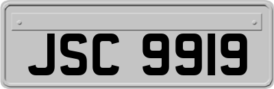 JSC9919