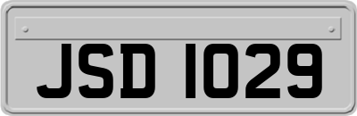 JSD1029