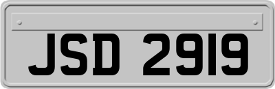 JSD2919