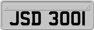 JSD3001