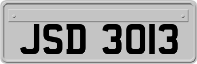 JSD3013