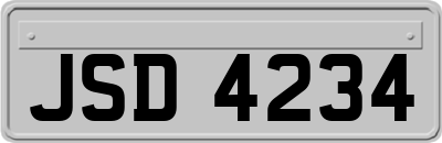 JSD4234