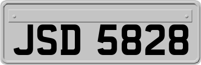 JSD5828
