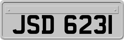 JSD6231