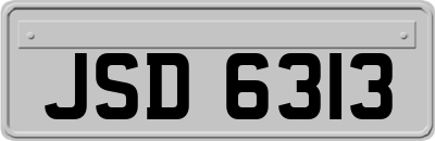 JSD6313