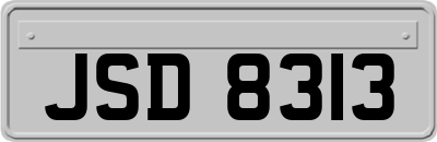 JSD8313