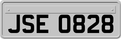 JSE0828