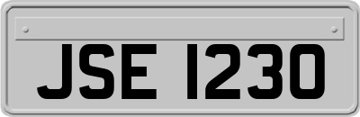 JSE1230