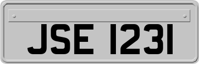 JSE1231