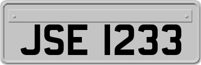 JSE1233