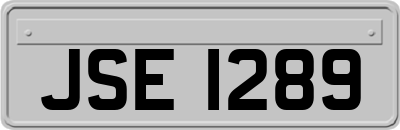 JSE1289