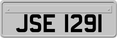 JSE1291