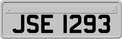 JSE1293