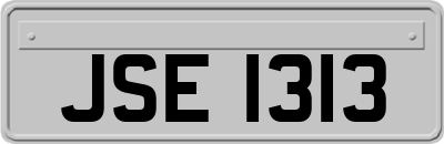 JSE1313
