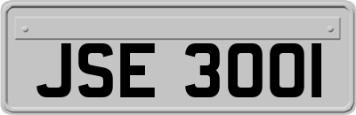 JSE3001