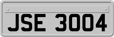 JSE3004