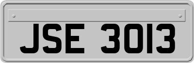 JSE3013