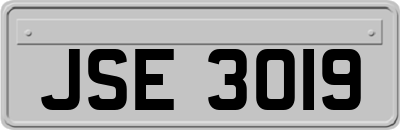 JSE3019