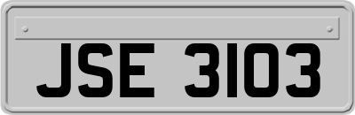JSE3103