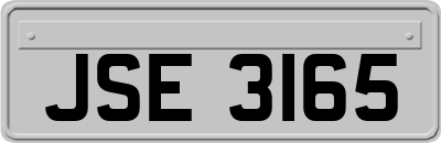 JSE3165