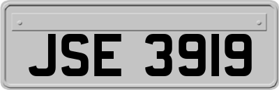 JSE3919