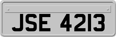 JSE4213